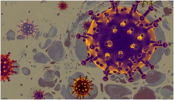 Why do most immune system boosting tips fail?