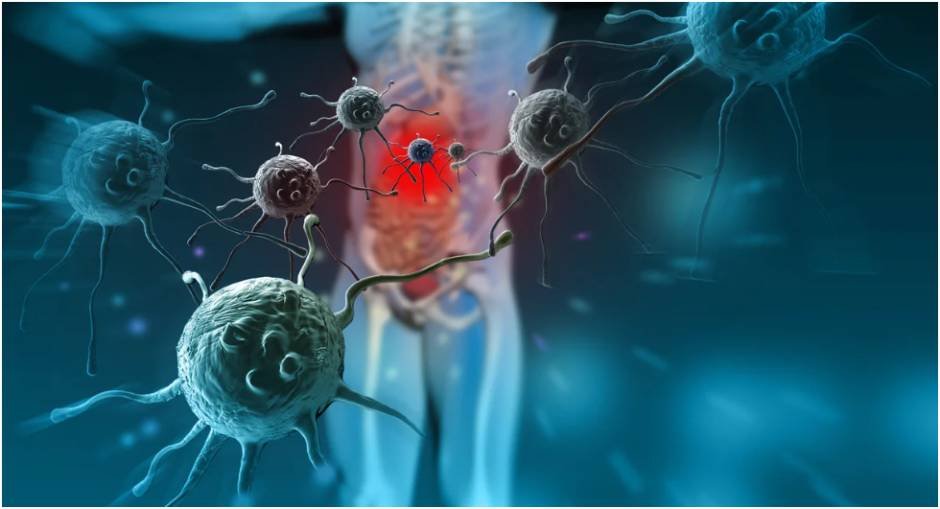 immune system boosting tips