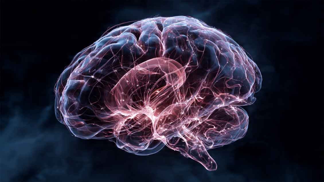 Your Brain Cannot Feel Pain